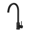 Scudo Manhattan Kitchen Tap in Matt Black